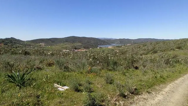 Todos os imóveis à venda