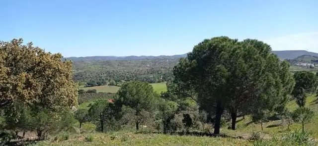 Paisagem