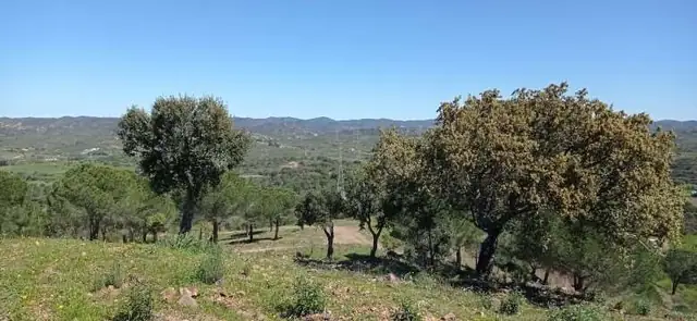 Paisagem